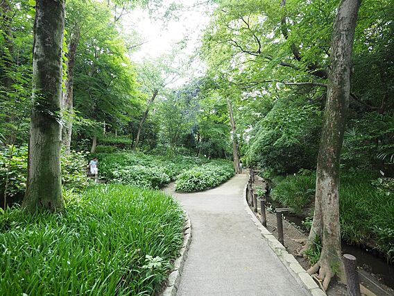 おとめ山公園ま...