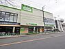 周辺：コープ中野鷺宮店まで約342m