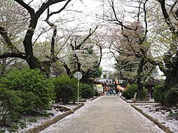 周辺施設の画像