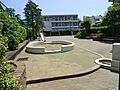 蓮根ねっぱ公園...
