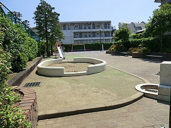 蓮根ねっぱ公園...