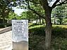 周辺：晴海第三公園まで約733m
