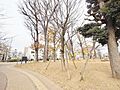 本五ふれあい公...