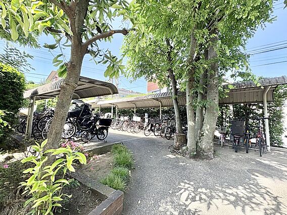 【Bicycl...