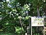 周辺：向山緑地公園まで約1203m