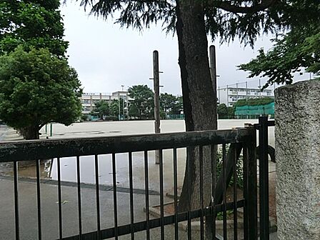 練馬区立大泉東小学校まで約466m