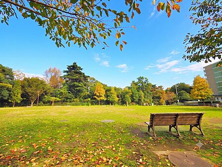 江古田の森公園まで約600m