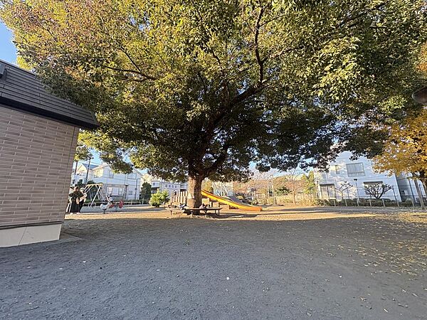 周辺を拡大表示