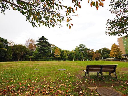 江古田の森公園まで約400m