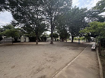 関根文化公園まで約288m