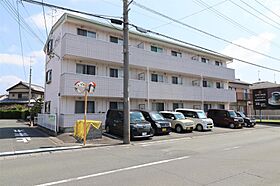 カトレア 203 ｜ 静岡県浜松市中央区丸塚町515-1（賃貸マンション1LDK・2階・60.01㎡） その1