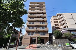 TRIBUTE元浜