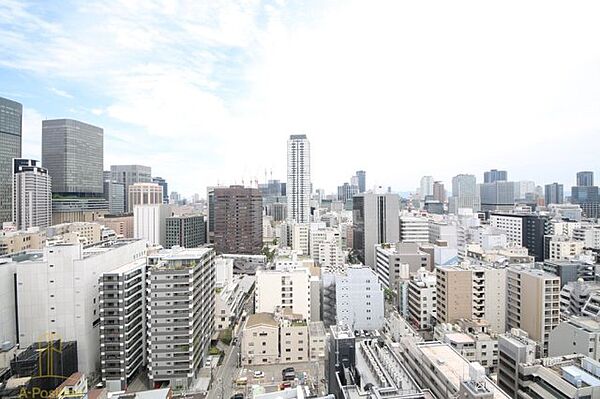 ザ・ファインタワー大阪肥後橋 ｜大阪府大阪市西区江戸堀1丁目(賃貸マンション2LDK・9階・57.23㎡)の写真 その24