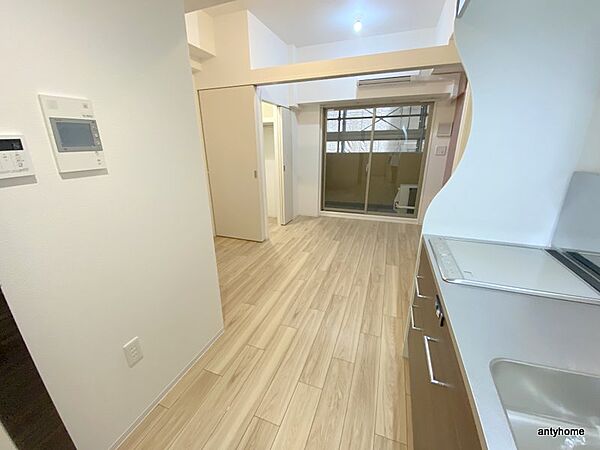 セレニテ江坂グランデ ｜大阪府吹田市江坂町2丁目(賃貸マンション1DK・2階・24.48㎡)の写真 その28