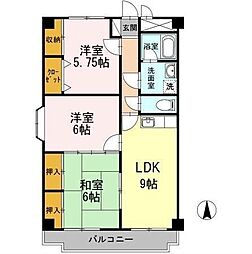 ラヴィニール兵庫