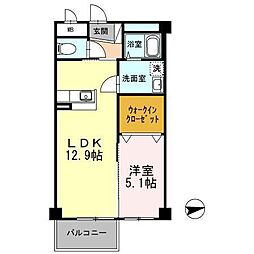 M81 1LDKの間取図画像