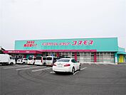 ドラッグストアコスモス 巨勢店(350m)