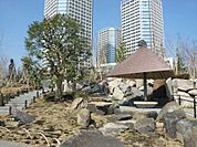 世田谷区立二子玉川公園（874m）