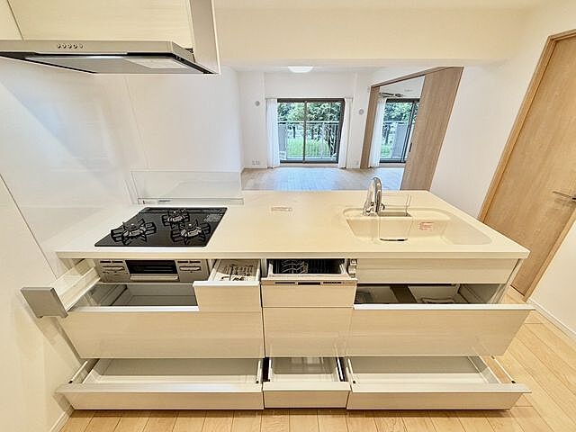 キッチン 新松戸西パークハウスD棟 2階/-