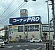 周辺：コーナンPRO流山店 910m