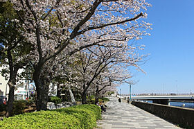 ラグゼナ横浜鶴見 808 ｜ 神奈川県横浜市鶴見区鶴見中央４丁目（賃貸マンション1K・8階・20.79㎡） その19