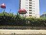 周辺：桂幼稚園まで約744ｍ/徒歩約10分　2021年1月に新園舎が完成。【開所時間】9:00～17:00