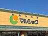 周辺：ショッピングセンター「マルショク大在店まで318ｍ」