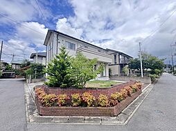 柏市花野井