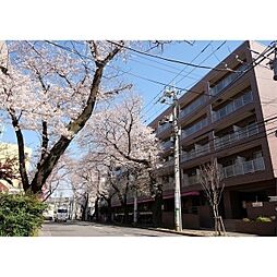 コンフォリアたまプラーザ 204