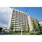 東京都港区海岸3丁目13-12：物件画像／スタートライン 湾岸豊洲店（スタートライングループ株式会社）