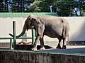 おびひろ動物園...