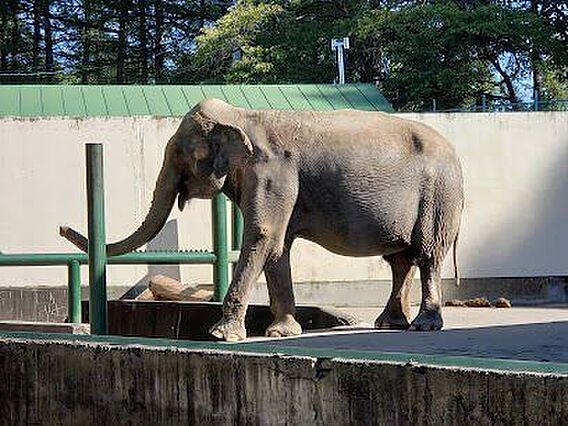 おびひろ動物園...