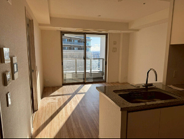 リビング/ダイニング ザ・パークハウス西新宿タワー60 38階/-