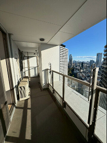 バルコニー ザ・パークハウス西新宿タワー60 38階/-