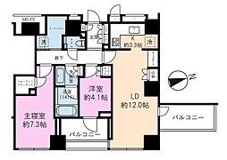 クラッシィタワー新宿御苑 2LDKの間取り