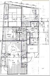 白川ビル 3LDKの間取図画像