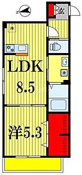 フェニックス南流山 1LDKの間取図画像