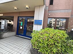 5 / 12
