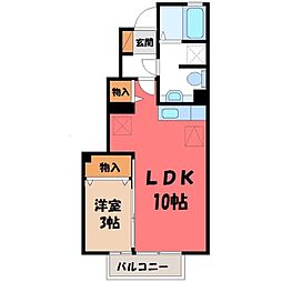 アスタマニアーナ C 1階