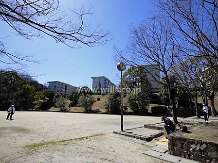 郡山公園の外観
