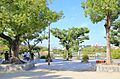 市場池公園の外...