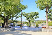 市場池公園の外観