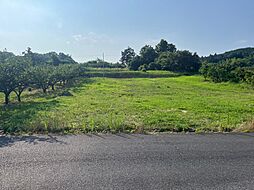 南部町三崎　190.87坪