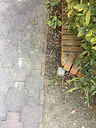 隣地との境界で...