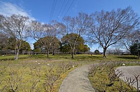 Maison PINO  ｜ 兵庫県伊丹市森本6丁目（賃貸マンション1K・2階・29.75㎡） その27