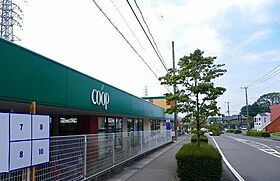 スペランツァII 105 ｜ 静岡県三島市徳倉802番地10（賃貸アパート1LDK・1階・41.13㎡） その18