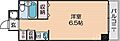 ロマネスク天神ノ森6階4.5万円