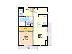 ルミナス和白 1LDKの間取図画像