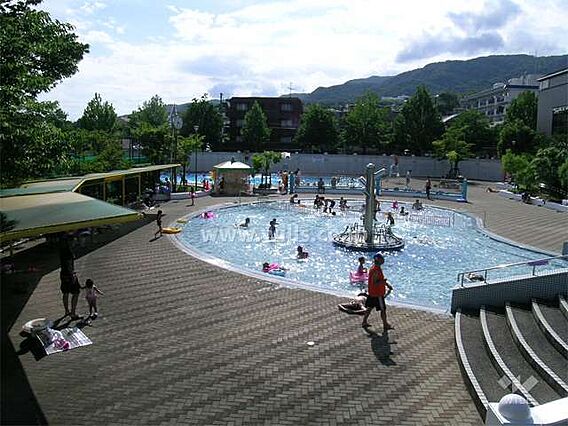 樋之池公園プー...