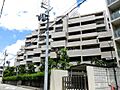 白鷹甲子園マン...